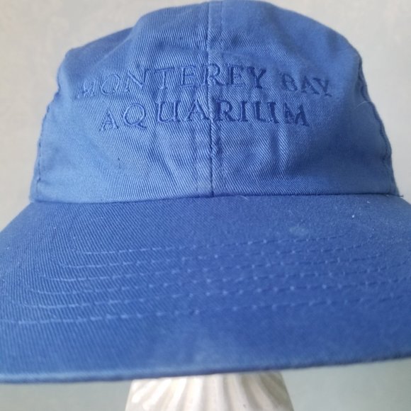 Blue Cap - Picture 6 of 6